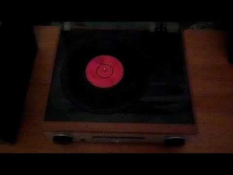 Tommy quickly and the remo 4. The wild side of life.