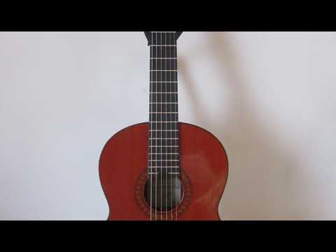 Jose Ramirez Classical 1A 1976 - Cedar / Brazilian Rosewood image 11