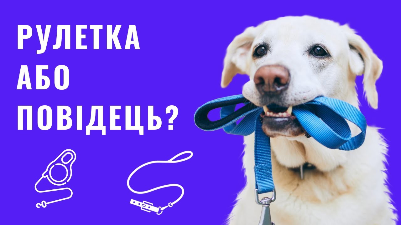 YouTube video preview