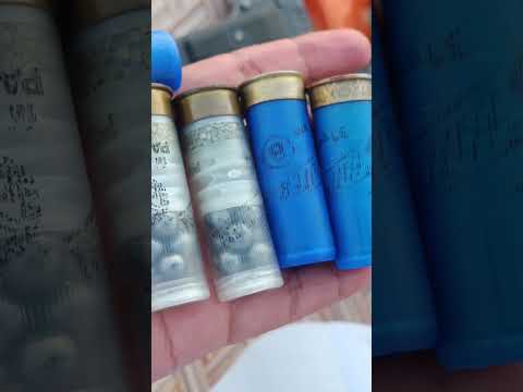 12 Bore kartoos price #guns #sidearm #playgun #pistolskin #pistol #30bore #2023