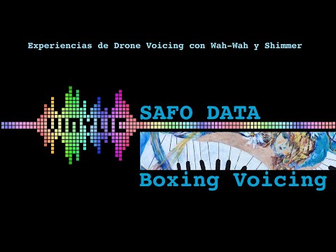 Safo Data - Boxing Voicing