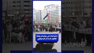 متظاهرون في روتردام يحتجون ضد قانون إعـ ـدام الأسـ ــرى الإسرائيلين thumbnail