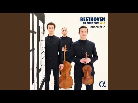 Piano Trio in C Minor, Op. 1 No. 3: II. Andante cantabile con variazion