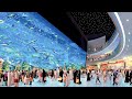 Dubai Aquarium Underwater Zoo In Dubai Mall 4K Walking Tour Vlog