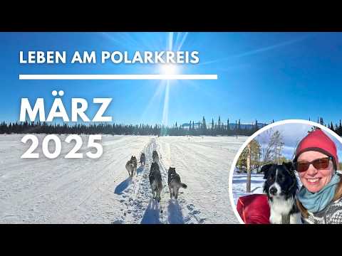 🇸🇪 March 2025: Dog sledding, lots of sun and a special guest