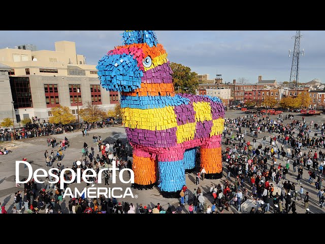 Vídeo relacionado con La vida es una piñata
