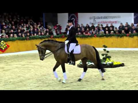 Antango *2009 by Ampère - Jazz (Stallion Show Sosath 2016)