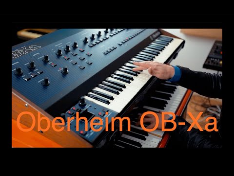 Oberheim OB Xa 80's mega synth!