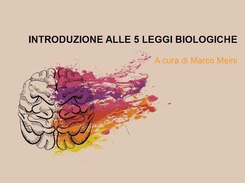 Olisticmap - Introduzione alle 5 Leggi Biologiche del Dr. Hamer