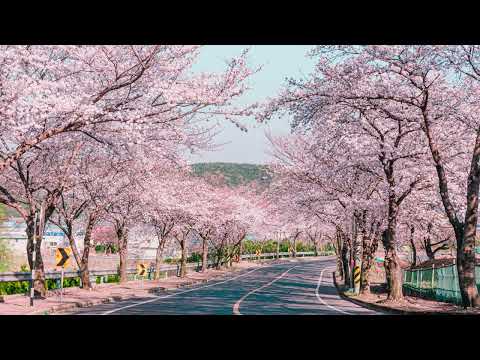 Deep Dreamer    Oceanic Dreams