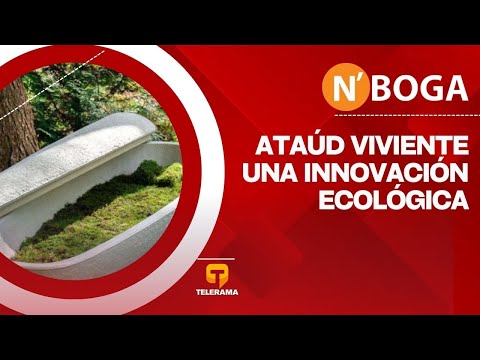 Ataúd viviente: Una innovación ecológica
