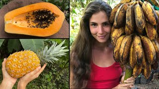 Top 5 Fastest Producing Tropical Plants (Raw, Fruit) + Best Tropical Fruits to Plant for Food Supply