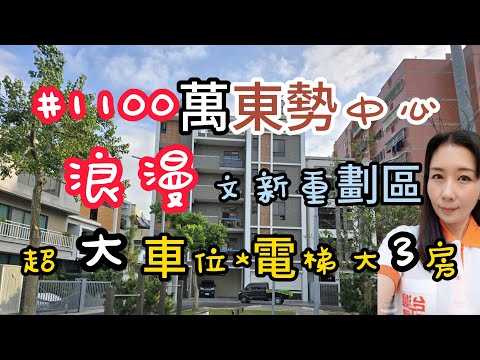 🌈公園首排全新大三房超大平車🌈台灣小音