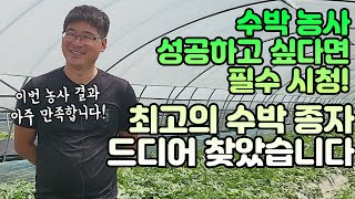 수박 농사 성공 비결! 우수 수박 종자 이렇게 선택해보세요