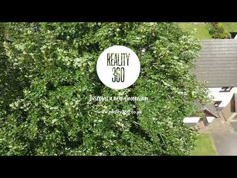 3 The Dicken, Whetstone