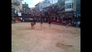 preview picture of video 'Jony y Beto - Aldeadávila de la Ribera, vaquilla en San Bartolo 2012'