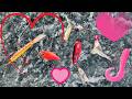 Video Thumbnail for Valentine's Day Themed Fishing | Trying to Catch Myself a Valentine!