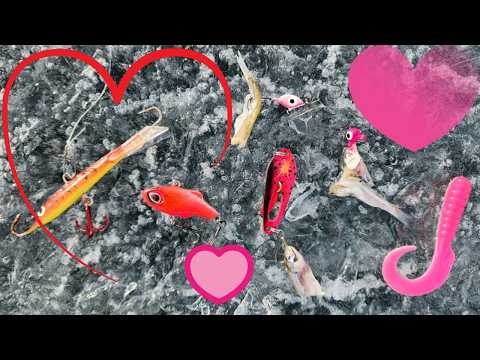 Valentine's Day Themed Fishing | Trying to Catch Myself a Valentine!