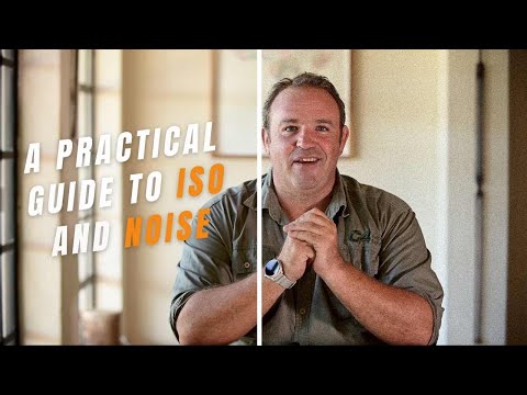 ISO and Noise: A Practical Guide Using Lightroom and DXO