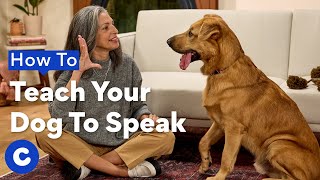 How To Teach Your Dog To “Speak”| Chewtorials