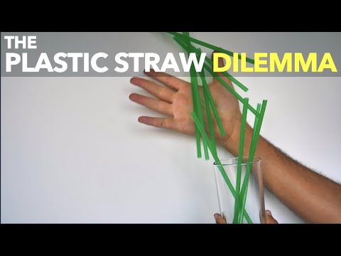 塑膠吸管的困境 (The Plastic Straw Dilemma)