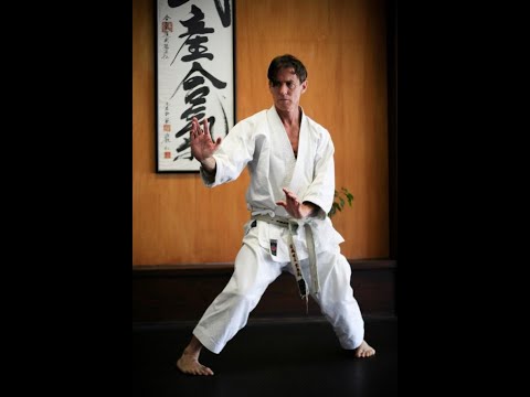 One Of The Best Shotokan Karate Masters -  RICK  HOTTON #shotokan