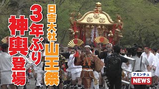 【アミンチュニュース】日吉大社山王祭　3年ぶりに神輿復活