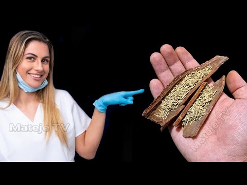 Three hours a night non-stop!! Even at 75 years old, he makes his wife happy.