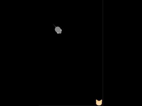 Foxtail(Cat Toy) Video