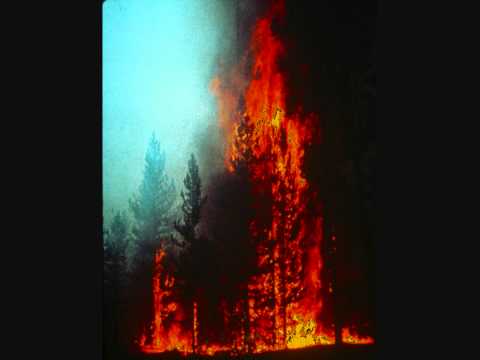 Love Me Destroyer - Things Around us Burn