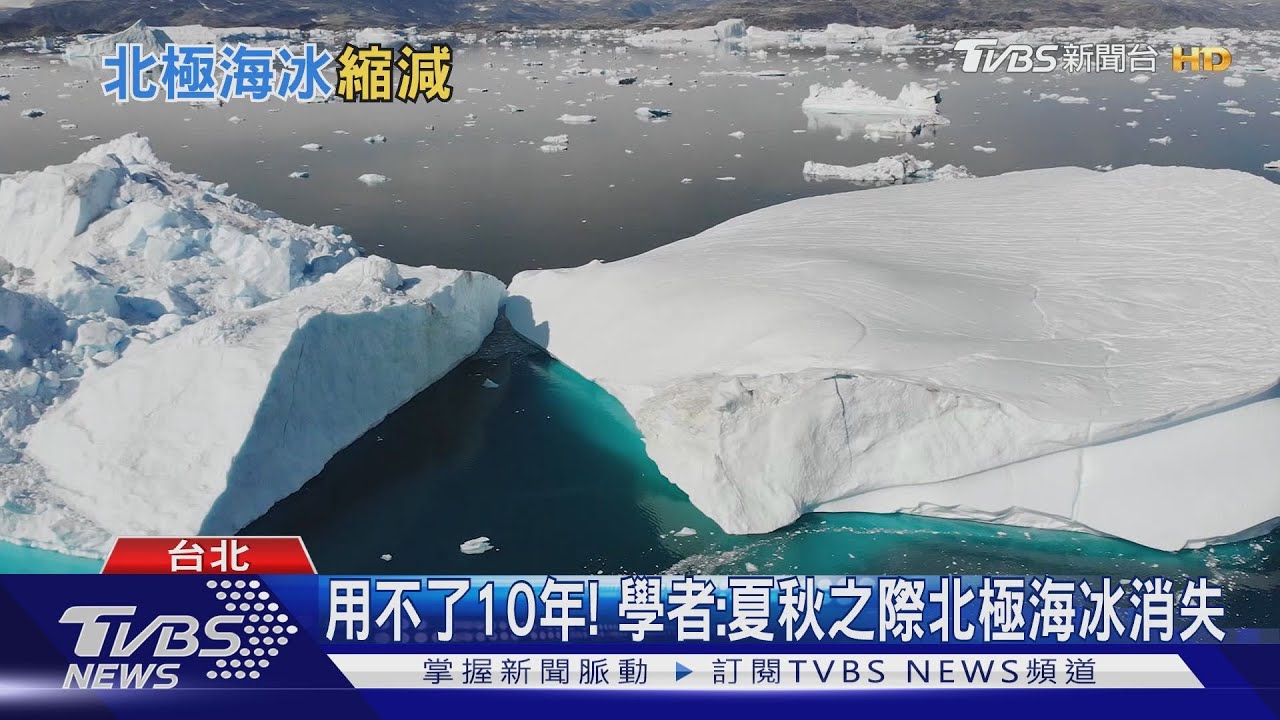 北極熊哭哭 專家:10年內看不到北極海冰