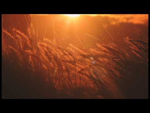 Scott Cassu - Pas de Deux - Windham Hill Records Sampler 1994