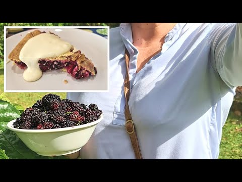 EASY Home Made/Grown Mulberry Pie Recipe