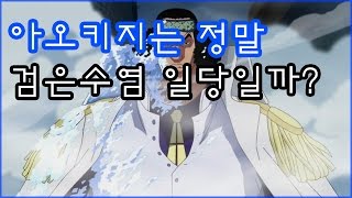 아오키지는 정말 검은수염 일당일까? [원피스분석][랭킹샵]