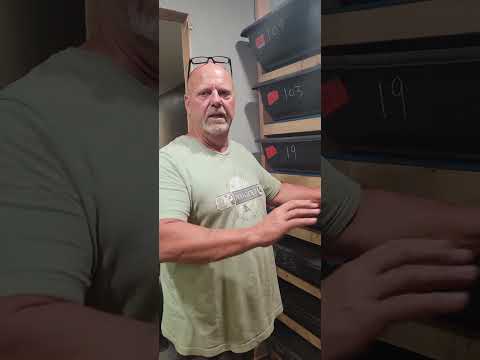 Raising African Nightcrawlers from cocoons to production size @Soilcastusa