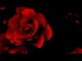 Johnny Mathis ~ "Love Is A Many Splendored Thing " ❤️1966