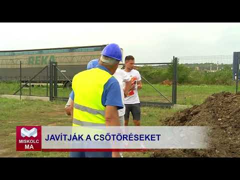Videó előnézet