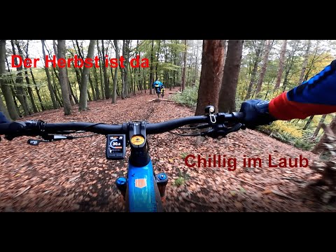 Ruhige Herbstfahrt auf rutschigem Laub im Bergischen Land | Cube Stereo hybrid 160 Actionteam