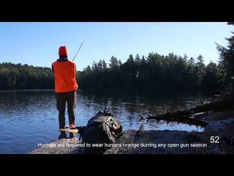 14 @@@ Surviving 50 Hours Under a Rock with No Food