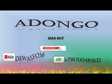 Adongo - Mad Boy