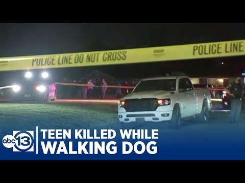 16-year-old girl shot and killed while walking dog in SW Houston