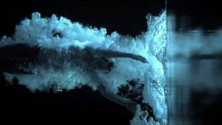 These New Puritans - We Want War (Official Video)