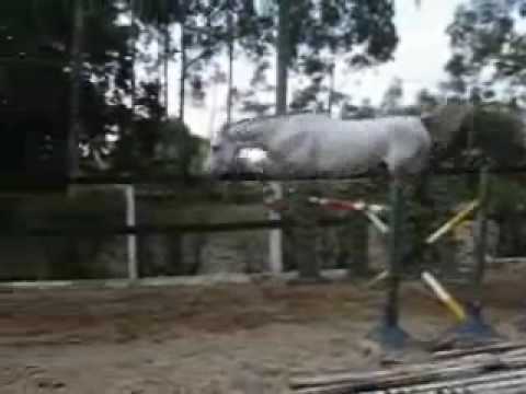 MCBRASIL - Aljubarrota