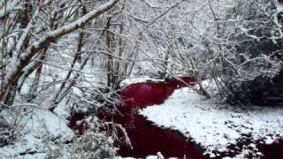 Feindbild Mensch - Menschenhasser