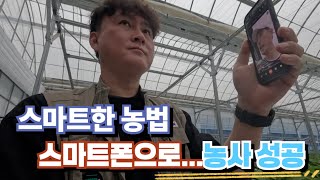 스마트폰으로 농사를 짓는 농가를 아시나요?