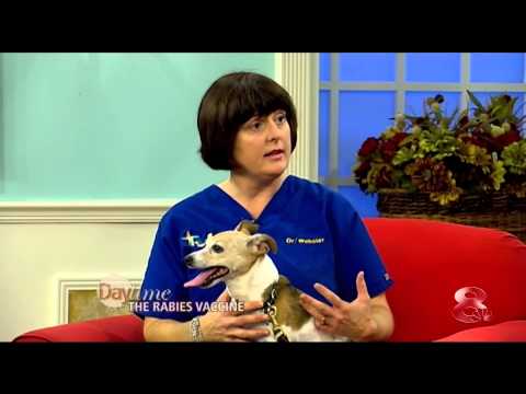 Veterinarian, Dr. Melissa Webster, explains how to protect your pets from Rabies