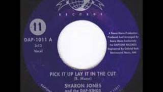 Sharon Jones And The Dap Kings &quot;Pick It Up, Lay It In The Cut&quot;
