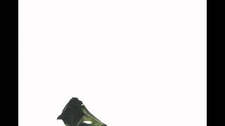 Coil || Princess Margaret's Man In The D'Jamalfna