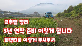 고추밭 정리 로타리 고추 트랙터로 파쇄 괴산청결고추 [고추재배방법]