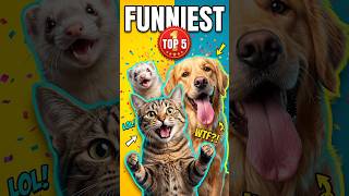 Download lagu Ranking the Funniest Animal Moments Ever mp3